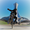 Profile picture for user MrBrownBikeLife